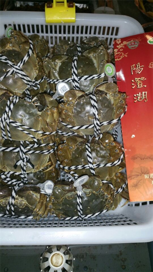 c(din)鿴Ԕ(x)Ϣ(bio)}(yng)κlз xΔ(sh)4407