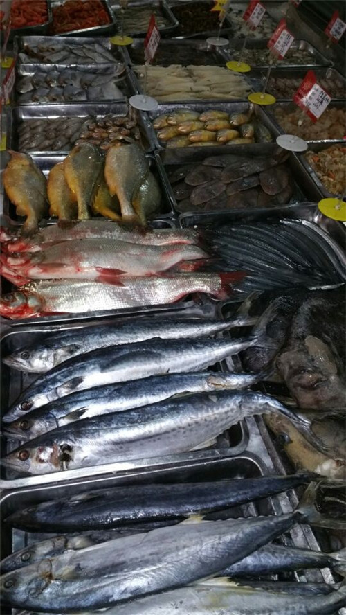 c(din)鿴Ԕ(x)Ϣ(bio)}rչ_(ti)1 xΔ(sh)4572