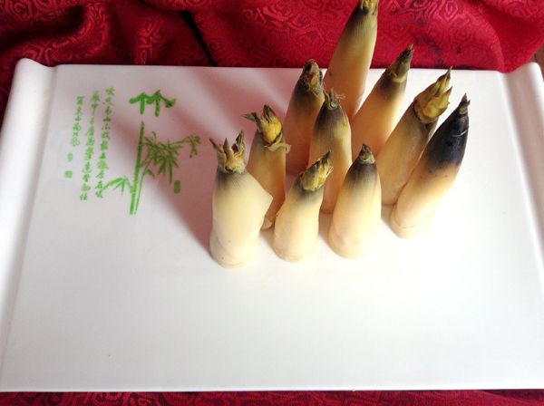 c(din)鿴Ԕ(x)Ϣ(bio)}󴺹S xΔ(sh)2749