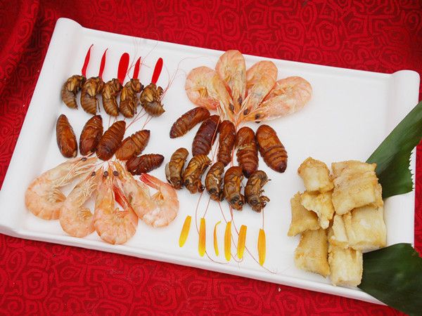 c(din)鿴Ԕ(x)Ϣ(bio)}O¾Ʋ xΔ(sh)3066